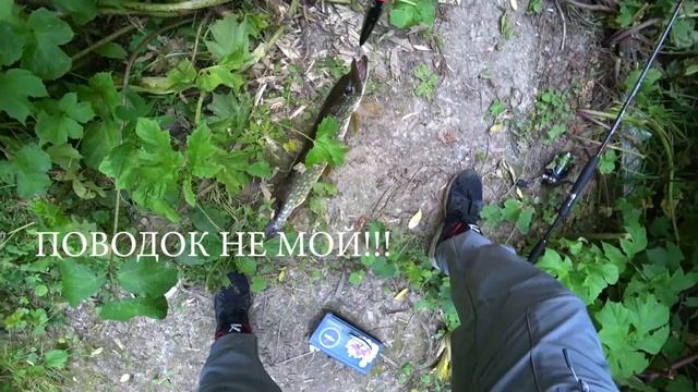 Ловля ЩУКИ на ПОППЕР летом. Ловля ЩУКИ на спиннинг в ИЮЛЕ. РЫБАЛКА на спиннинг в ПОДМОСКОВЬЕ. смотреть онлайн