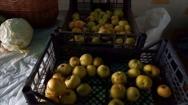 Вот и октябрь. смотреть онлайн