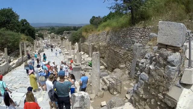 Обзор городских достопримечательностей и прогулки