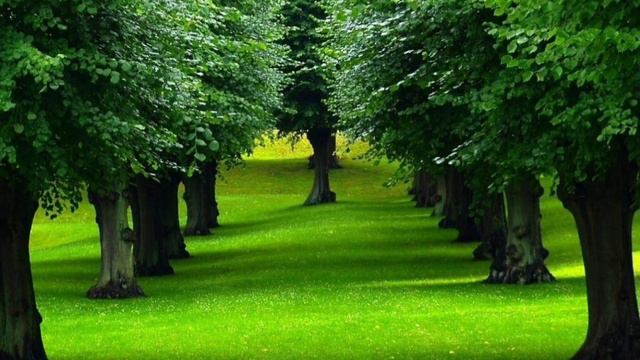 Yolgizlik :muallif Ulugbek Hamdam