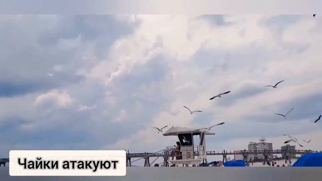 ПЛЯЖ ПЕНСАКОЛА смотреть онлайн