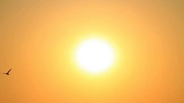 ???Люди- солнышки! ??? смотреть онлайн