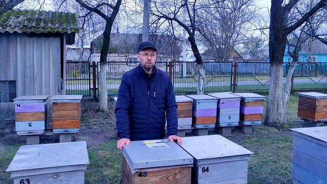 Огляд нуклеусних сімейок. Відповіді на запитання смотреть онлайн