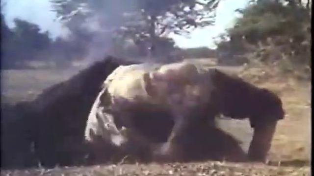 ΑΜΕΡΙΚΑΝ ΤΣΑΜΠΙΟΝ Νο 2 - No Retreat, No Surrender 2: Raging Thunder 綻親陎 / ΜΕ ΕΛΛΗΝΙΚΟΥΣ ΥΠΟΤΙΤΛΟΥΣ смотреть онлайн