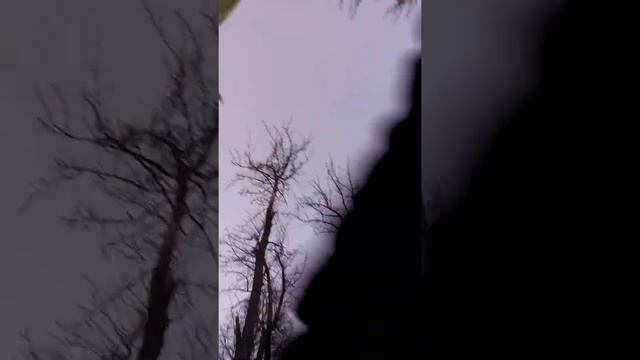 Скрытая камера?! На улицы я с дом друзьями