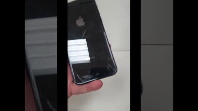 Видео №584964