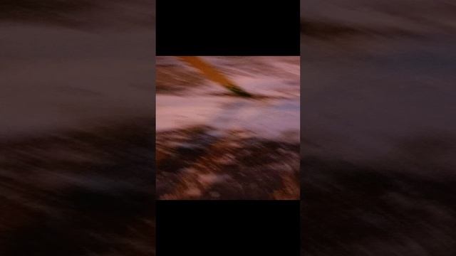 Моё первое видео на RuTube смотреть онлайн