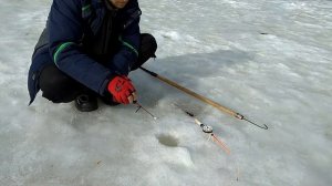 Ловля плотвы по последнему льду 2020