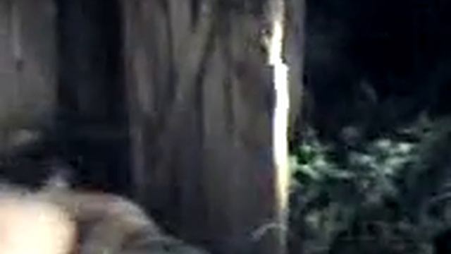 Пострадавшая в туалете.3gp смотреть онлайн