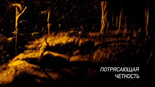Технология ACTIVETARGET™ LIVE SONAR