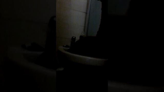 Как правильно мыть котёнка. смотреть онлайн