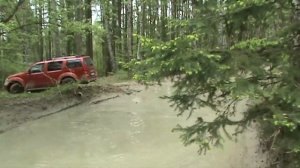 Nissan Pathfinder R51 * inconspicuous «predator» *