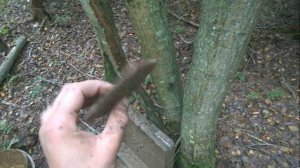 РАСКОПКИ ВОВ. Позиции у забытой деревни