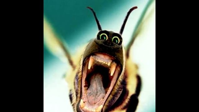 Как Билайн теряет своих клиентов