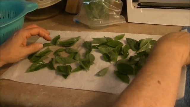 How to Keep Fresh Basil and Freeze Basil for as Long as Possible. смотреть онлайн