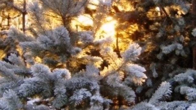 Зимний солнцеворот смотреть онлайн