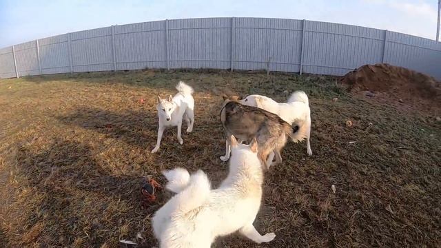 А вот и мы смотреть онлайн