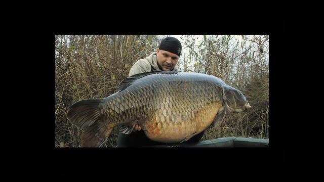 Активатор клёва “FishHungry” 23 05 2016 смотреть онлайн